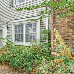 8518 Castle Pine Court
