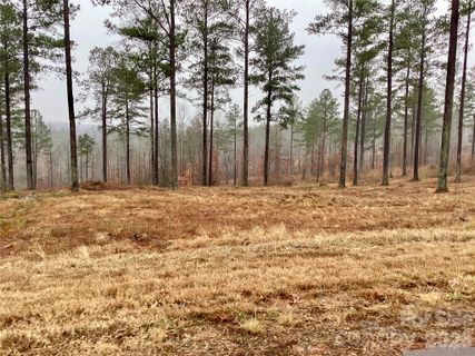 1838 Jumping Run active home in Lakeside Reserve, Connelly Springs, NC