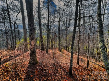 232 Thorncliff Road active home in Bear River Lodge, Marshall, NC
