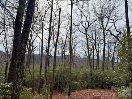 Tbd Laurel Thicket Lane active home in Big Hill, Brevard, NC