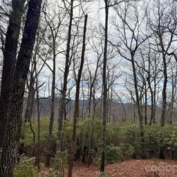 Tbd Laurel Thicket Lane