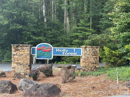 66 W Christy Trail active home in Holly Forest, Sapphire, NC