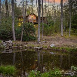 163 Bear Track Lane