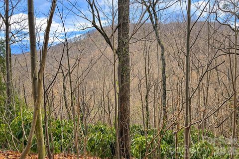 11 Majestic Overlook Way sold home in Ashewood, Candler, NC