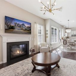 1210 Gold Rush Court