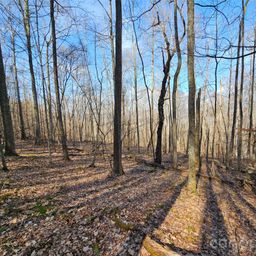 00 Red Wolf Run Road