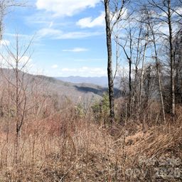 000 Curry Comb Trail