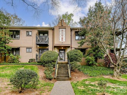 217 N Dotger Avenue active home in The Grove, Charlotte, NC