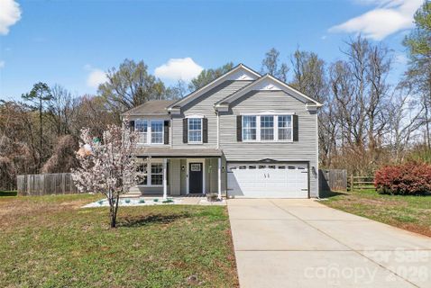 Homes in Irish Downs, Clover
