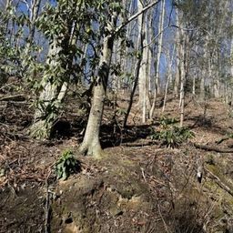 1237 Hickory Acres Road
