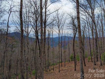 51 Wild Turkey Loop active home in French Broad Crossing, Marshall, NC