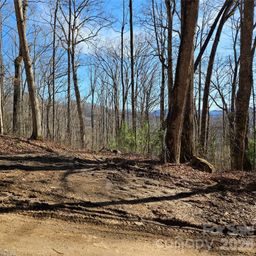 262 Si Knob Road