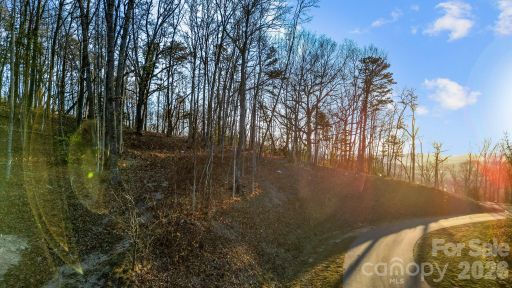 99 Spring Song Lane active home in Couch Mountain, Fletcher, NC