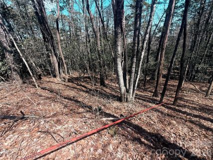 Tbd Minerva Lane active home in Bear Wallow Hollow, Sapphire, NC