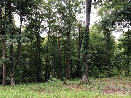 45 Sweet Fern Parkway active home in Olivette, Asheville, NC