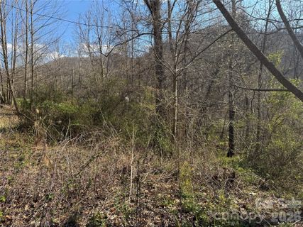 9999 Ox Creek Road
