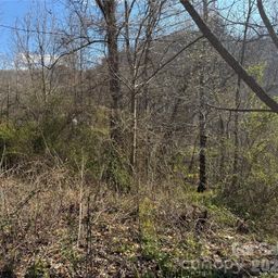 9999 Ox Creek Road