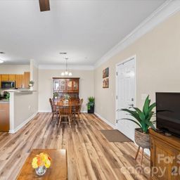 233 Appeldoorn Circle