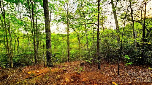 Lot 59 Bear Cliff Way active home in Highlands Of Lake Lure, Lake Lure, NC