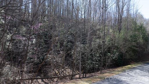 1342 High Trail Drive active home in The Arbor At Lake James, Nebo, NC