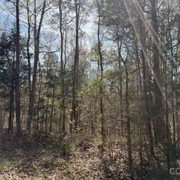 6223 Twining Vine Court