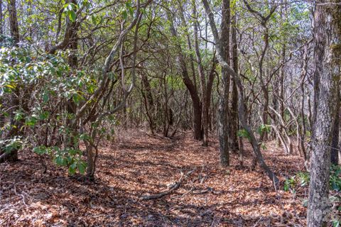 Lot 14 Lakeside Drive active home in Lake Toxaway Estates, Lake Toxaway, NC