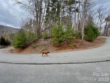 Tbd Mantera Ridge