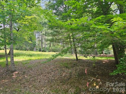 A3 Allison Creek Trail active home in Straus Park, Brevard, NC