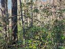 Lot 4 Whitney Boulevard sold home in Lake Lure, SC