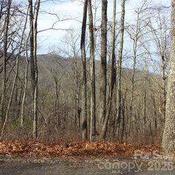 Lot 84 Waterdance Drive