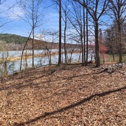 193 Table Rock Trace