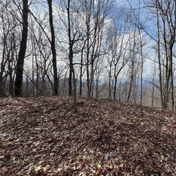 Lot 24 26 Butterfly Path