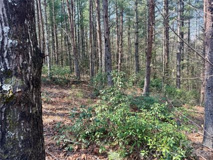 2494 Ivy Rays Way sold home in The Enclave At Lake James, Nebo, NC