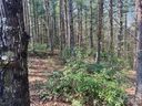 2494 Ivy Rays Way sold home in Nebo, SC