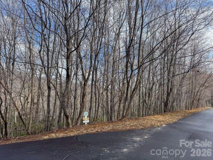 9999 Rainbow Falls Trail active home in Catawba Falls Preserve, Black Mountain, NC