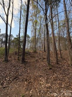 447 Hopewell Church Road sold home in The Summit At Lake Norman, Catawba, NC