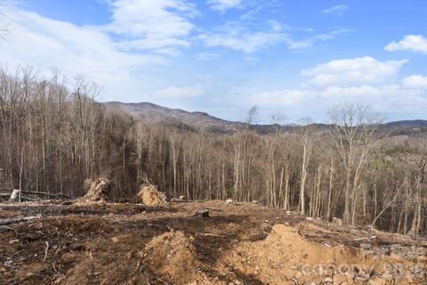 Tbd Pinnacle View