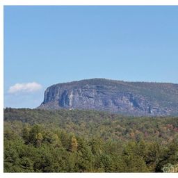 Lot 4 Pisgah Preserve Drive