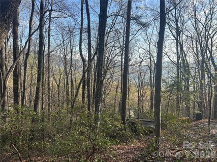 Lot 301 Cardinal Road active home in Rumbling Bald On Lake Lure, Lake Lure, NC