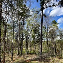 2409 Falling Leaf Court