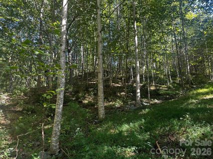 0 Clear Creek Trail active home in Highlands Of Lake Lure, Lake Lure, NC