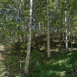 0 Clear Creek Trail