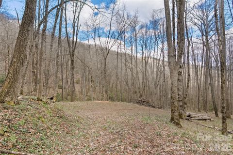 Homes in Big Laurel Inc, Waynesville