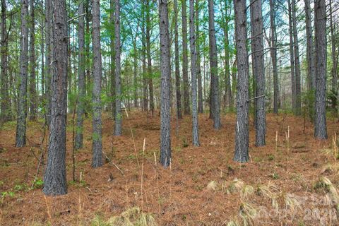 0 Clearwater Parkway pending home in Clearwater Creek, Rutherfordton, NC