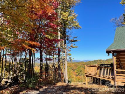 A home in The Forest At Rixhaven, Saluda