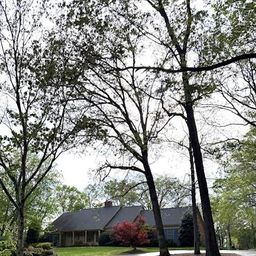 408 Bethel Drive