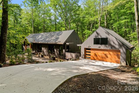 A home in Laurel Ridge, Black Mountain