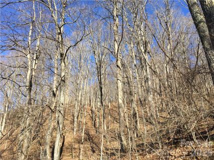 99999 Red Oak Forest Road