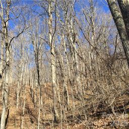 99999 Red Oak Forest Road