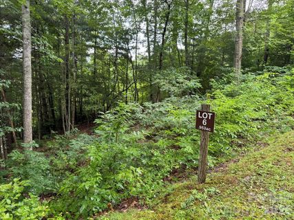 Lot 6 Garnet Road active home in Garnet Ridge Preserve, Sylva, NC